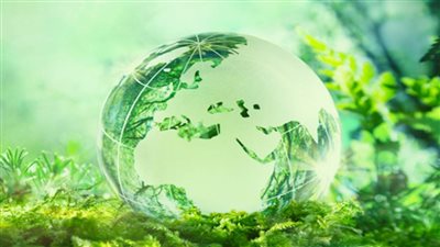 مكتب الالتزام البيئي يحتفل بيوم البيئة الوطنى لأول مرة في 27 يناير 