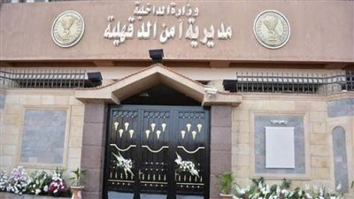 سائق يتهم طليقته بتعذيب نجله وتصويره عاريا في الدقهلية