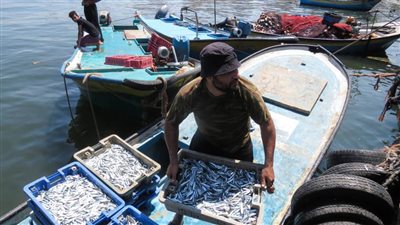 فتح بوغاز عزبة البرج أمام حركة الصيد بعد تحسن حالة الطقس بدمياط