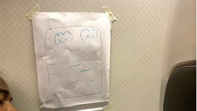 تصرف غريب من مضيفة طيران يثير ضحكات مستخدمي تويتر (صور)