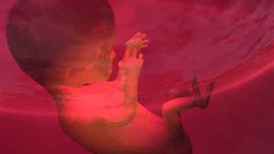 أستاذ وراثة بشرية: «التوحد» يبدأ داخل الرحم وليس بعد الولادة