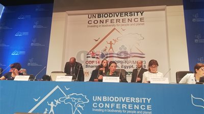 وزيرة البيئة: كوكب الأرض يتعرض لخطر النمو السكاني والتطور الصناعي