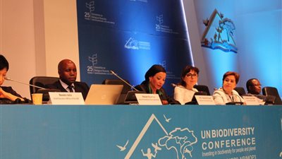 وزيرة البيئة: أفريقيا غنية بالتنوع البيولوجي