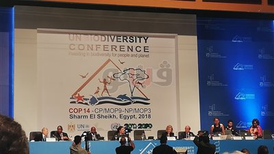 وزيرة البيئة تعتمد الإعلان الوزاري للقمة الأفريقية