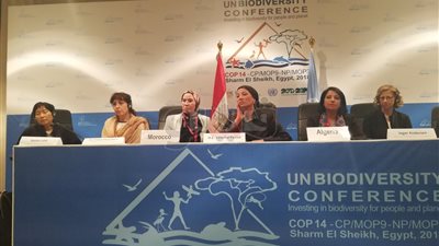 وزيرة البيئة: مؤتمر التنوع البيولوجي يثبت عالمية شرم الشيخ