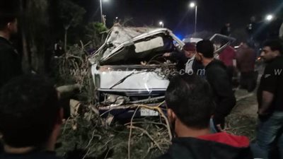 إصابة 5 أشخاص إثر سقوط شجرة على مينى باص بالمنوفية | صور