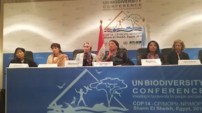 10 ملفات تتصدر القمة الوزارية الأفريقية للتنوع البيولوجي