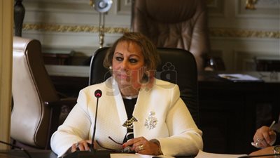 برلمانية ترفض تحميل قانون الأطيان الزراعية مسئولية تأخر حصيلة الضرائب