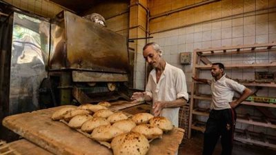 شروط إنشاء مخابز بالغربية