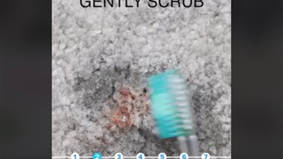 أفضل الحلول للتخلص من ٧ بقع صعبة للسجاد (فيديو)