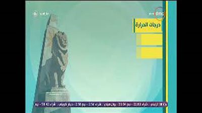 الأرصاد: طقس اليوم غير مستقر.. والصغرى بالقاهرة 17 درجة (فيديو)