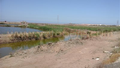 أصحاب المزارع السمكية بدمياط: عودة العصابات المسلحة لبحيرة المنزلة