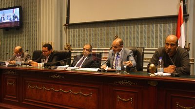 نائب يطالب بتعويض مزارعي الطماطم المتضررين من فساد التقاوي