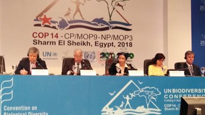 بدء مناقشات الشق الوزاري رفيع المستوى بمؤتمر التنوع البيولوجي