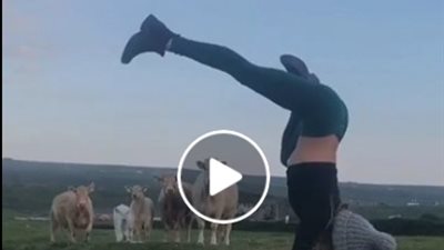 رد فعل غير متوقع لأبقار لحظة استعراض فتاة رشاقتها (فيديو)