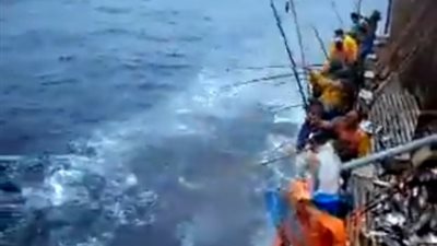 بالفيديو.. الخداع البصري أحدث الطرق لصيد الأسماك