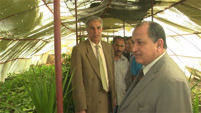 مركز لإنتاج وتسويق «الزهور» بجامعة «طنطا»