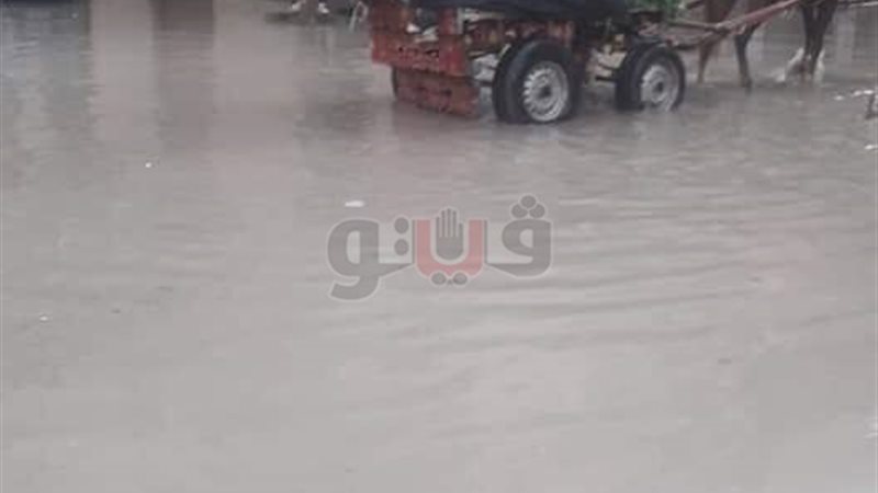 فيتو