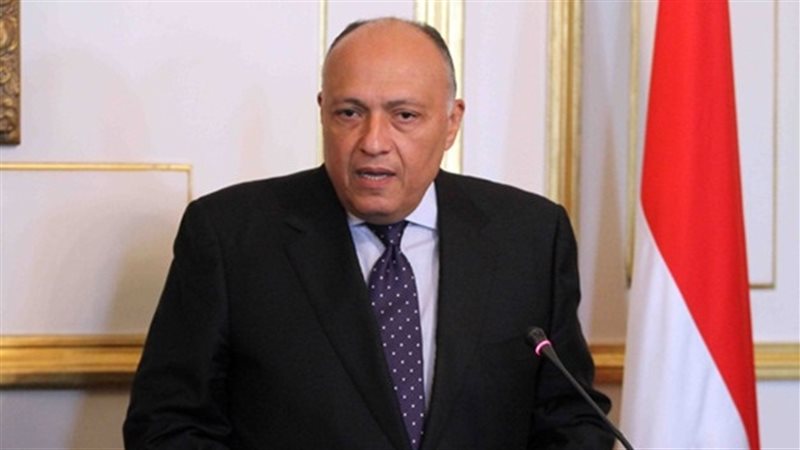  سامح شكري وزير الخارجية