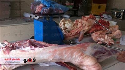 ضبط 7 أطنان لحوم وفراخ غير صالحة داخل مصنع بمدينة نصر