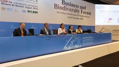 سحر نصر: الاستثمار بالمجالات البيئية قطاع واعد ويحتاج إلى شراكات (صور)