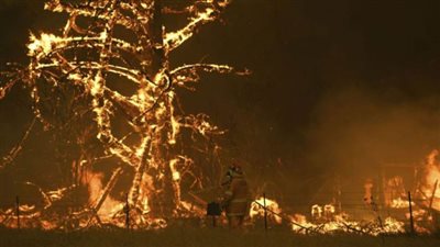 أقدم من الأهرامات.. حرائق الغابات الأسترالية تكشف عن 