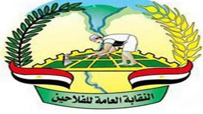 «الفلاحين» ترفض مقترح الحكومة بتسعير القصب 800 جنيه للطن