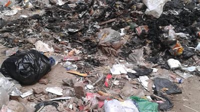 مواطنون لمحافظ الجيزة: نعيش وسط القمامة والأمراض تطاردنا