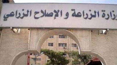 النائب العام يمنع المتورطين في فساد الزراعة من السفر بينهم محمود الجمال