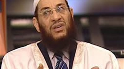 أسامة القوصي: «الإرهابية» مؤامرة أمريكية قطرية على المصريين