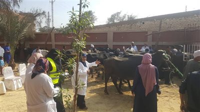 محافظ الفيوم يتفقد أعمال القافلة الطبية البيطرية المجانية بالعامرية (صور)