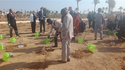 غرس أشجار بشرم الشيخ احتفالا بمرور ٢٥ عاما على اتفاقية التنوع البيولوجي