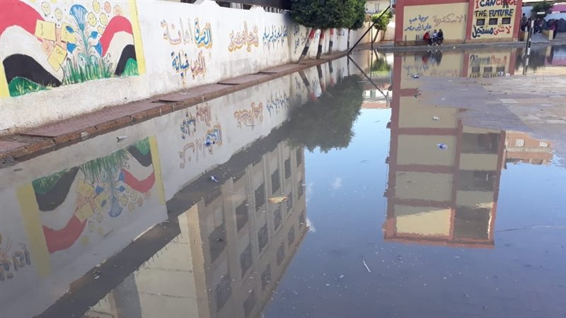 فيتو