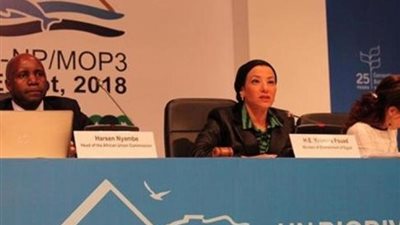 تفاصيل كلمات وفود الدول الأفريقية بقمة التنوع البيولوجي