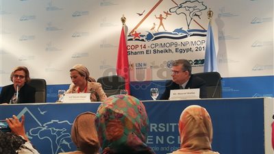 وزيرة البيئة: مصر ترسم خارطة طريق العالم في قضايا التنوع البيولوجي