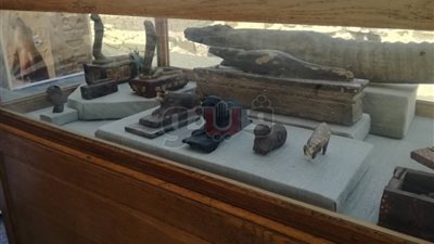 تفاصيل المعرض المؤقت بمتحف إيمحتب للقطط المكتشفة بجبانة سقارة