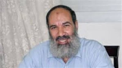 ناجح إبراهيم: الجماعة الإسلامية أخطأت في السير على خطى الإخوان