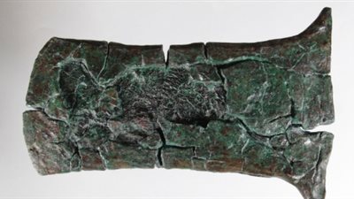 كشفان أثريان بكوم أمبو في أسوان (صور)