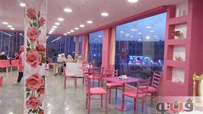 «للسيدات فقط» طريقة النساء للهروب من التحرش.. «أتوبيس لا يقبل الرجال» آخر الوسائل.. «الكافيهات النسائية» البداية.. وخبير: تزيد من انعزال المجتمع والحل في مواجهة المتحرشين