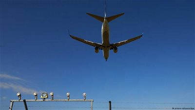 «تيدي».. كلب يتفوق على حراس الأمن بالمطار!