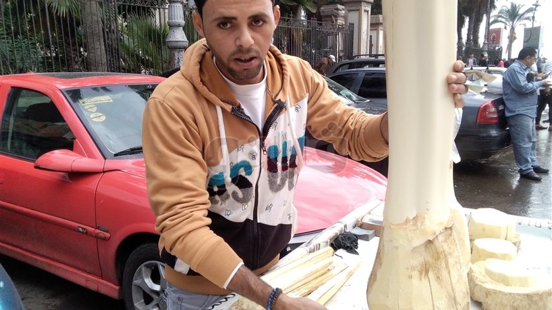 فيتو