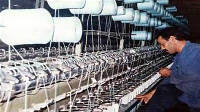 طه: تقييم توزيع شركات قطاع الأعمال على الوزارات مرهون بمصير العمال