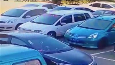 سيارة تنقذ كلبا سقط من ارتفاع شاهق (فيديو)