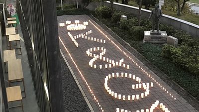 قصة منع حراس متحف قطتين من دخوله لمدة 3 أعوام (فيديو وصور)