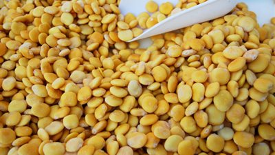 مصر تستورد 1000 طن «ترمس» سنويا من أستراليا