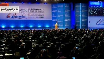 السيسي يشاهد فيلما تسجيليا عن «التنوع البيولوجي»