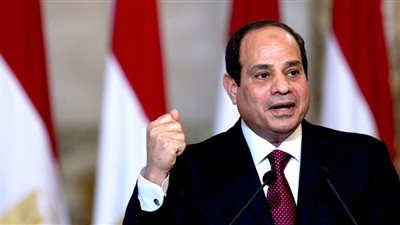 السيسي: مصر وضعت دستورا قويا للحفاظ على البيئة