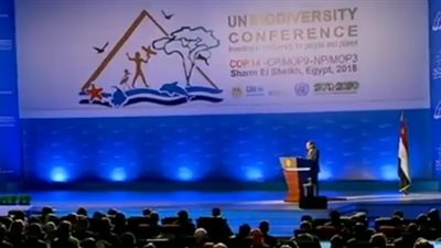 السيسي: المجتمع الدولي أكد ضرورة الحفاظ على التنوع البيولوجي
