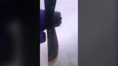 بالفيديو والصور.. طائرة تستكمل رحلتها بمحرك واحد بعد توقف الآخر بسبب طائر