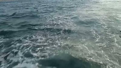 خلافات بين قطر وتركيا على التنقيب بالبحر المتوسط